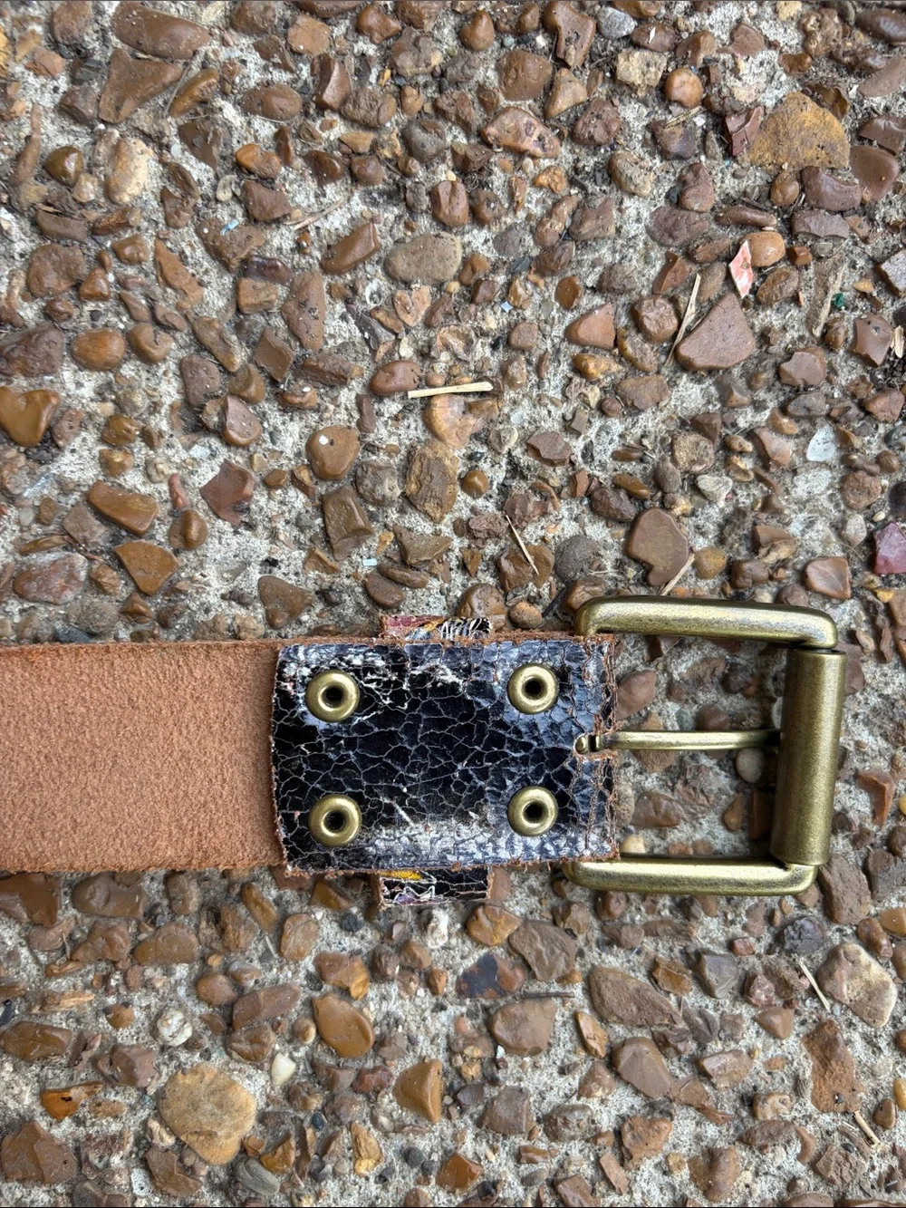 Ed Hardy Black Leather Belt with Multicolor Graphic Accents